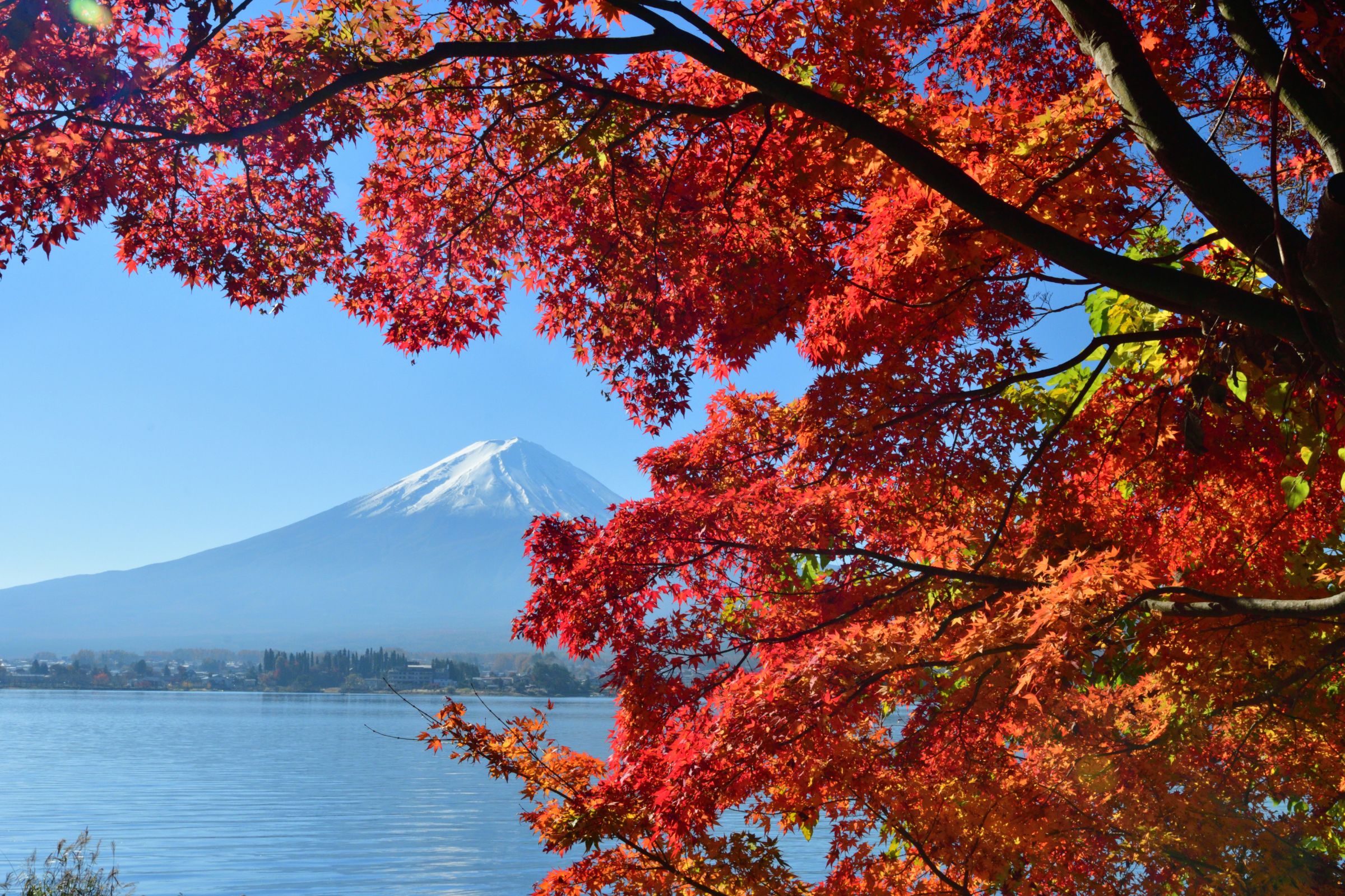 fuji five lakes (3).webp